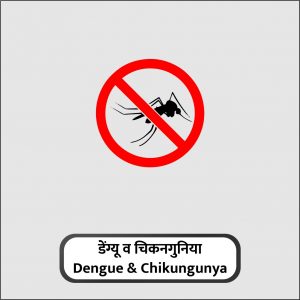 14 - Dengue _ Chikungunya